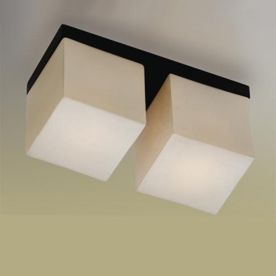 Светильник Odeon Light 2043/2C Cubet венге Светильник Odeon Light 2043/2C Cubet венгеПрямоугольные<br>Настенно потолочный светильник Odeon light (Оодеон лайт) 2043/2C Cubet венге подходит как для установки в вертикальном положении - на стены, так и для установки в горизонтальном - на потолок. Для установки настенно потолочных светильников на натяжной потолок необходимо использовать светодиодные лампы LED, которые экономнее ламп Ильича (накаливания) в 10 раз, выделяют мало тепла и не дадут расплавиться Вашему потолку.<br><br>S освещ. до, м2: 5<br>Тип лампы: накаливания / энергосбережения / LED-светодиодная<br>Тип цоколя: E14<br>Количество ламп: 2<br>Ширина, мм: 250<br>MAX мощность ламп, Вт: 40<br>Расстояние от стены, мм: 120<br>Высота, мм: 150<br>Цвет арматуры: черный