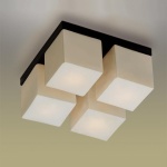 Светильник настенно-потолочный Odeon light 2043/4C CUBET