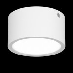 Светильник накладной светодиодный Lightstar 211916 Zolla