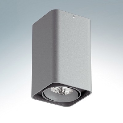 Lightstar MONOCCO 212539 Светильник Lightstar MONOCCO 212539 СветильникДаунлайты<br><br><br>Тип цокол: MR16<br>Ширина, мм: 100<br>MAX мощность ламп, Вт: 50<br>Длина, мм: 100<br>Высота, мм: 170