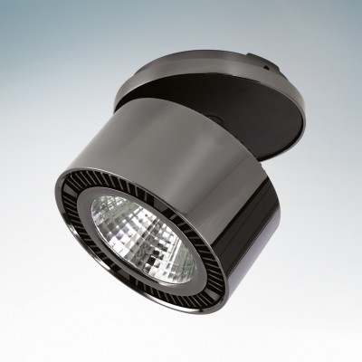 Lightstar FORTE 214808 Светильник Lightstar FORTE 214808 СветильникПоворотные на ножке<br>Встраиваемые светильники – популярное осветительное оборудование, которое можно использовать в качестве основного источника или в дополнение к люстре. Они позволяют создать нужную атмосферу атмосферу и привнести в интерьер уют и комфорт. Интернет-магазин «Светодом» предлагает стильный встраиваемый светильник Lightstar 214808. Данная модель достаточно универсальна, поэтому подойдет практически под любой интерьер. Перед покупкой не забудьте ознакомиться с техническими параметрами, чтобы узнать тип цоколя, площадь освещения и другие важные характеристики. Приобрести встраиваемый светильник Lightstar 214808 в нашем онлайн-магазине Вы можете либо с помощью «Корзины», либо по контактным номерам. Мы доставляем заказы по Москве, Екатеринбургу и остальным российским городам.<br>