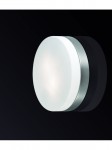 Настенно - потолочный светильник Odeon light 2405/1C PRESTO