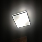 Светильник настенно-потолочный Odeon light 2537/2C TELA