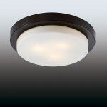 Настенно - потолочный светильник Odeon light 2744/3C HOLGER