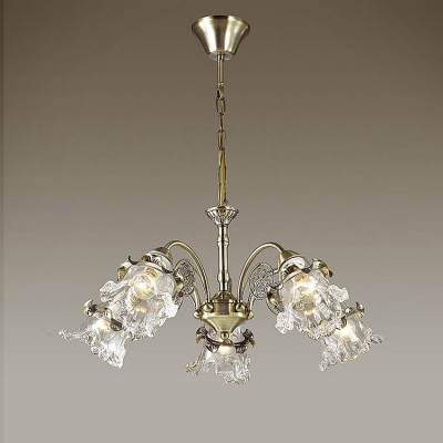 Светильник Lumion 3450/5 Светильник Lumion 3450/5Подвесные<br>Серия Eloisa примечательна роскошным прозрачным стеклянным плафоном, прекрасно сочетающимся с бронзой основания. Светильник декорирован эффектным цветочным элементом.<br><br>Установка на натяжной потолок: Да<br>S освещ. до, м2: 15<br>Крепление: Потолочное<br>Тип лампы: Накаливания / энергосбережения / светодиодная<br>Тип цоколя: E14<br>Количество ламп: 5<br>MAX мощность ламп, Вт: 60<br>Диаметр, мм мм: 620<br>Высота, мм: 1000