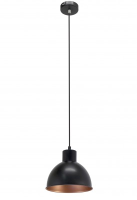 Eglo TRURO 1 49238 Подвесной светильник Eglo TRURO 1 49238 Подвесной светильникПодвесные<br>Компания «Светодом» предлагает широкий ассортимент люстр от известных производителей. Представленные в нашем каталоге товары выполнены из современных материалов и обладают отличным качеством. Благодаря широкому ассортименту Вы сможете найти у нас люстру под любой интерьер. Мы предлагаем как классические варианты, так и современные модели, отличающиеся лаконичностью и простотой форм. Стильная люстра Eglo 49238 станет украшением любого дома. Эта модель от известного производителя не оставит равнодушным ценителей красивых и оригинальных предметов интерьера. Люстра Eglo 49238 обеспечит равномерное распределение света по всей комнате. При выборе обратите внимание на характеристики, позволяющие приобрести наиболее подходящую модель. Купить понравившуюся люстру по доступной цене Вы можете в интернет-магазине «Светодом». Мы предлагаем доставку не только по Москве и Екатеринбурге, но и по всей России.<br><br>Установка на натяжной потолок: Да<br>S освещ. до, м2: 1<br>Крепление: Планка<br>Тип цоколя: E27<br>Количество ламп: 1<br>MAX мощность ламп, Вт: 60<br>Диаметр, мм мм: 210<br>Размеры основания, мм: 0<br>Высота, мм: 1100<br>Цвет арматуры: черный<br>Общая мощность, Вт: 1X60W