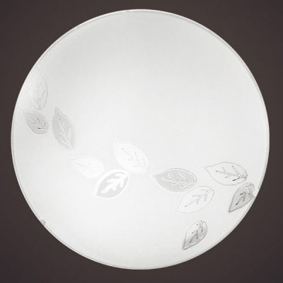 Eglo MARS 80264 Настенно-потолочный светильник Eglo MARS 80264 Настенно-потолочный светильникКруглые<br>Австрийское качество модели светильника Eglo 80264 не оставит равнодушным каждого купившего! Матовое закаленное стекло(пр-во Чехия) вытравленный рисунок , основание сталь с защитным покрытием. Класс изоляции 2 (двойная изоляция), IP 20, освещенность 806 lm ,D=245,1X60W,E27.<br><br>S освещ. до, м2: 4<br>Тип лампы: накаливания / энергосбережения / LED-светодиодная<br>Тип цоколя: E27<br>Количество ламп: 1<br>MAX мощность ламп, Вт: 2<br>Диаметр, мм мм: 245<br>Размеры основания, мм: 0<br>Оттенок (цвет): дизайн листья<br>Цвет арматуры: белый<br>Общая мощность, Вт: 1X60W