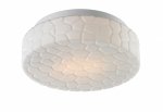 Потолочный светильник Arte lamp A5330PL-2WH Aqua