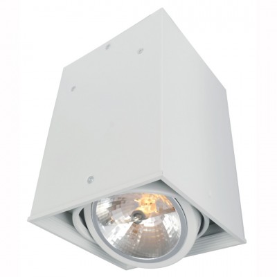 Светильник потолочный Arte lamp A5936PL-1WH CARDANI Светильник потолочный Arte lamp A5936PL-1WH CARDANIОдиночные<br>Светильники-споты – это оригинальные изделия с современным дизайном. Они позволяют не ограничивать свою фантазию при выборе освещения для интерьера. Такие модели обеспечивают достаточно качественный свет. Благодаря компактным размерам Вы можете использовать несколько спотов для одного помещения. <br>Интернет-магазин «Светодом» предлагает необычный светильник-спот ARTE Lamp A5936PL-1WH по привлекательной цене. Эта модель станет отличным дополнением к люстре, выполненной в том же стиле. Перед оформлением заказа изучите характеристики изделия. <br>Купить светильник-спот ARTE Lamp A5936PL-1WH в нашем онлайн-магазине Вы можете либо с помощью формы на сайте, либо по указанным выше телефонам. Обратите внимание, что у нас склады не только в Москве и Екатеринбурге, но и других городах России.<br><br>Тип цоколя: G53/AR111<br>Количество ламп: 1<br>MAX мощность ламп, Вт: 50<br>Размеры: H22xW16xL16<br>Цвет арматуры: белый