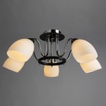 Светильник потолочный Arte lamp A7144PL-5BK FIORENTINO