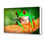 Картина с часами BL-2404 Topposters лягушка