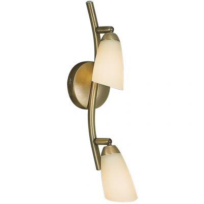 Citilux Белла CL501523 Светильник поворотный спот Citilux Белла CL501523 Светильник поворотный спотДвойные<br>Также рекомендуем посмотреть другие споты и трек-системы из серии Белла. Спот CL501523 Ситилюкс - Дания из коллекции Белла - идеальная возможность украсить абсолютно любое пространство.<br><br>S освещ. до, м2: 8<br>Тип лампы: накал-я - энергосбер-я<br>Тип цоколя: E14<br>Количество ламп: 2<br>Ширина, мм: 440<br>MAX мощность ламп, Вт: 60<br>Размеры: Ширина 44см, Глубина 16см, Размер головки 13см.<br>Расстояние от стены, мм: 160<br>Поверхность арматуры: матовый<br>Цвет арматуры: золотой