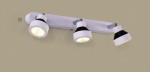 Светильник настенно-потолочный Citilux CL557531 Данди