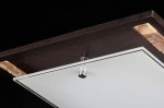 Настенно-потолочный светильник Freya CL810-01-R Simmetria
