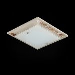 Настенно - потолочный светильник Maytoni CL810-01-W Simmetria Simmetria