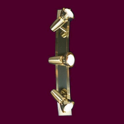 Светильник Lussole LSL-1401-03 Aprilia золото Светильник Lussole LSL-1401-03 Aprilia золотоТройные<br>Светильники-споты – это оригинальные изделия с современным дизайном. Они позволяют не ограничивать свою фантазию при выборе освещения для интерьера. Такие модели обеспечивают достаточно качественный свет. Благодаря компактным размерам Вы можете использовать несколько спотов для одного помещения. Интернет-магазин «Светодом» предлагает необычный светильник-спот Lussole LSL-1401-03 по привлекательной цене. Эта модель станет отличным дополнением к люстре, выполненной в том же стиле. Перед оформлением заказа изучите характеристики изделия. Купить светильник-спот Lussole LSL-1401-03 в нашем онлайн-магазине Вы можете либо с помощью формы на сайте, либо по указанным выше телефонам. Обратите внимание, что мы предлагаем доставку не только по Москве и Екатеринбургу, но и всем остальным российским городам.<br><br>S освещ. до, м2: 8<br>Тип товара: Светильник поворотный спот<br>Скидка, %: 42<br>Тип лампы: накал-я - энергосбер-я/LED R73<br>Тип цоколя: R50<br>Количество ламп: 3<br>Ширина, мм: 60<br>MAX мощность ламп, Вт: 40<br>Расстояние от стены, мм: 130<br>Высота, мм: 450<br>Цвет арматуры: золотой