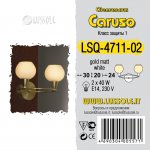 Светильник настенный бра Lussole LSQ-4711-02 CARUSO