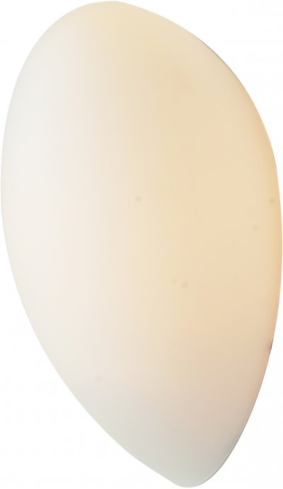 Светильник настенный St luce SL507.551.01 Светильник настенный St luce SL507.551.01Хай-тек<br>Касаемо коллекции модели St luce SL507.551.01 хотелось бы отметить основные моменты: Ванная комната это помещение с повышенной температурой и влажностью. поэтому специалисты рекомендуют устанавливать там влагозащитные светильники и быть уверенными в том, что они прослужат долго и безопасно. Данная практика стала повсеместной у европейских пользователей. Светильники для ванных комнат коллекции Bango имеют степень влагозащиты IP44. Основания выполнены из металла с покрытием белого цвета или хромированы. Плафоны выполнены из стекла.<br><br>S освещ. до, м2: 4<br>Крепление: планка<br>Тип лампы: накаливания / энергосбережения / LED-светодиодная<br>Тип цоколя: E27<br>Количество ламп: 1<br>Ширина, мм: 100<br>MAX мощность ламп, Вт: 60<br>Длина, мм: 150<br>Расстояние от стены, мм: 150<br>Высота, мм: 240<br>Поверхность арматуры: матовая<br>Оттенок (цвет): белый<br>Цвет арматуры: белый