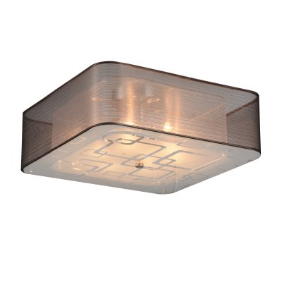 Люстра потолочная St luce SL940.802.06 Люстра потолочная St luce SL940.802.06Потолочные<br>Если Вы настроены купить светильник модели SL94080206, то обратите внимание: Изящные и элегантные люстры коллекции Ajur украсят интерьер зала, спальни, кабинета, оформленных в неоклассическом стиле, стиле модерн или минимализм. <br>Ажурное переплетение металлической конструкции обрамляет плафон из органзы. Белое матовое стекло, закрывающие плафон снизу, создает мягкое уютное освещение в интерьере.<br><br>Установка на натяжной потолок: Ограничено<br>S освещ. до, м2: 12<br>Крепление: Планка<br>Тип лампы: галогенная / LED-светодиодная<br>Тип цоколя: G9<br>Количество ламп: 6<br>Ширина, мм: 400<br>MAX мощность ламп, Вт: 40<br>Длина, мм: 400<br>Высота, мм: 220<br>Поверхность арматуры: глянцевая<br>Оттенок (цвет): коричневый, белый<br>Цвет арматуры: серебристый