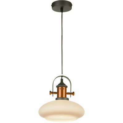 SLD982.303.01 Светильник подвесной ST Luce Черный, Медный/Белый E27 1*60W SLD982.303.01 Светильник подвесной ST Luce Черный, Медный/Белый E27 1*60WОжидается<br><br>
