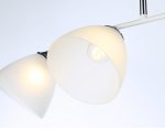 Подвесной светильник Ambrella TR303003 TR