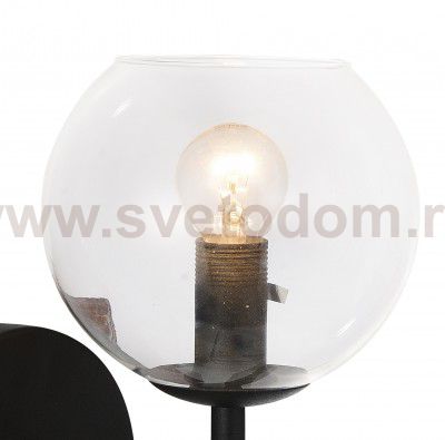 Настенный светильник Favourite 1491-1W Schoppen