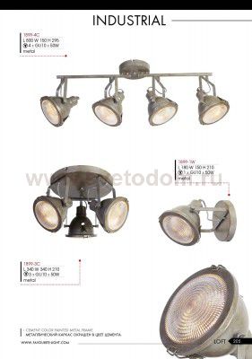 Светильник настенный бра Favourite 1899-1W Industria