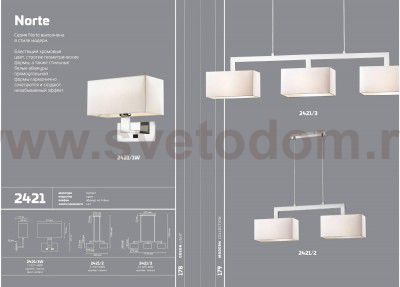 Светильник бра с выключателем Odeon light 2421/1W NORTE