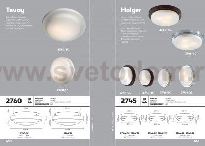 Настенно - потолочный светильник Odeon light 2760/2C TAVOY