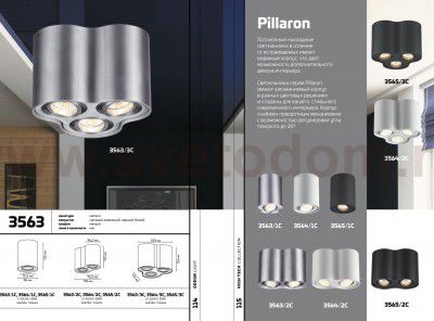 Потолочный накладной светильник Odeon light 3565/1C PILLARON