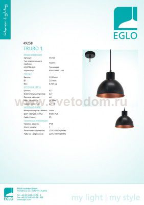 Подвесной светильник Eglo 49238 TRURO 1