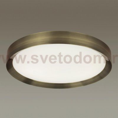 Настенно-потолочный светильник Odeon light 4948/60CL LUNOR