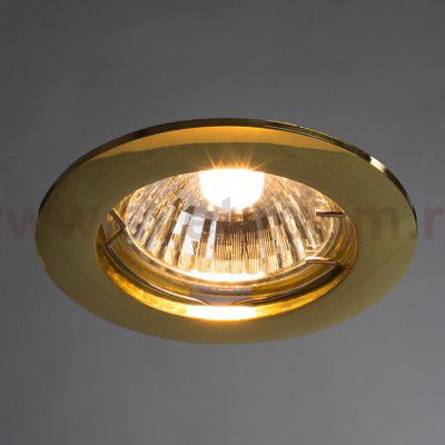 Светильник потолочный Arte lamp A2103PL-1GO BASIC
