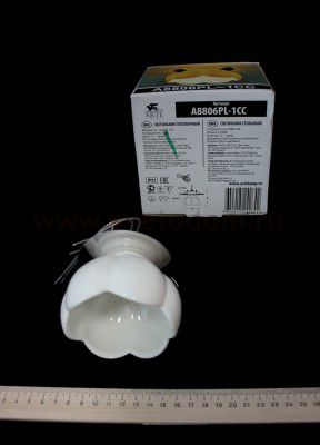 Светильник потолочный Arte lamp A8806PL-1CC OCCHIO