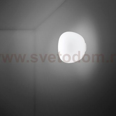 Настенный/Потолочный светильник Fabbian F07G0301
