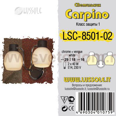 Светильник настенный бра Lussole LSC-8501-02 CARPINO