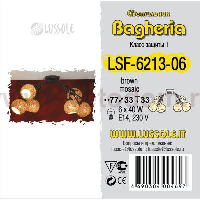 Люстра Lussole LSF-6213-06 BAGHERIA