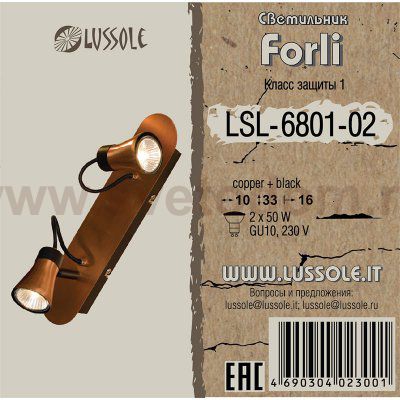 Светильник поворотный спот Lussole LSL-6801-02 FORLI