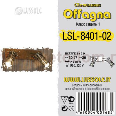 Светильник поворотный спот Lussole LSL-8401-02 OFFAGNA