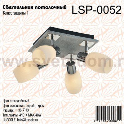 Светильник поворотный спот Lussole LSP-0052 HACKBERRY