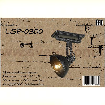 Светильник поворотный Lussole LSP-0300