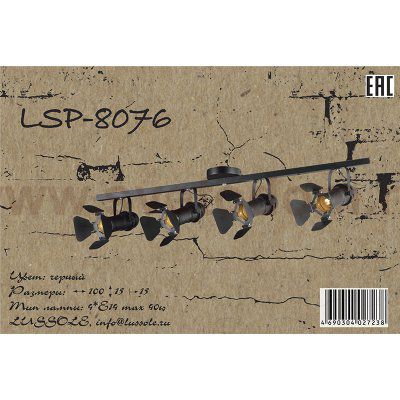 Светильник поворотный спот Lussole LSP-8076 THORNTON