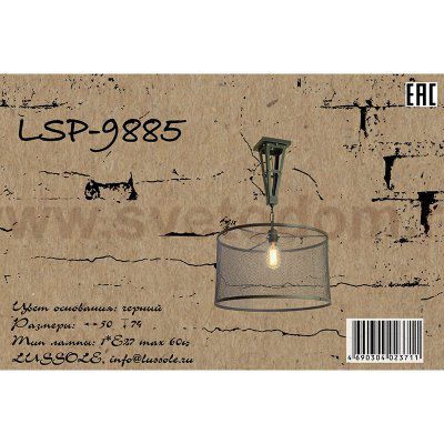 Потолочный светильник Lussole LSP-9885 PARKER