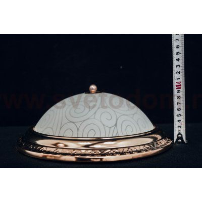 Светильник потолочный Arte lamp A3013PL-2GO ALTA