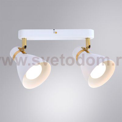 Светильник спот с двумя плафонами Arte lamp A5047PL-2WH FAFNIR
