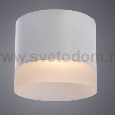 Потолочный светильник Arte Lamp A5554PL-1WH CASTOR