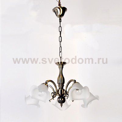 Люстра Lumier S72003-5 Terpsys