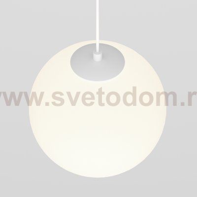Трековый подвесной светильник Maytoni TR039-2-5W4K-W Luna