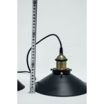Светильник подвесной Citilux CL450101 Эдисон