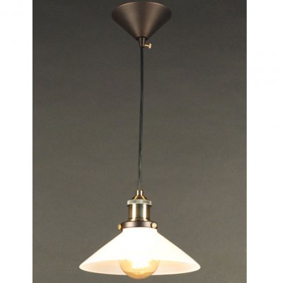 Citilux CL450102 Светильник подвесной Citilux CL450102 Светильник подвеснойОдиночные<br>Подвесной светильник – это универсальный вариант, подходящий для любой комнаты. Сегодня производители предлагают огромный выбор таких моделей по самым разным ценам. В каталоге интернет-магазина «Светодом» мы собрали большое количество интересных и оригинальных светильников по выгодной стоимости. Вы можете приобрести их с доставкой в Москву, Екатеринбург и любой другой город России. Подвесной светильник Citilux CL450102 сразу же привлечет внимание Ваших гостей благодаря стильному исполнению. Благородный дизайн позволит использовать эту модель практически в любом интерьере. Она обеспечит достаточно света и при этом легко монтируется. Чтобы купить подвесной светильник Citilux CL450102, воспользуйтесь формой на нашем сайте или позвоните менеджерам интернет-магазина.<br><br>S освещ. до, м2: 6<br>Тип лампы: накаливания / энергосбережения / LED-светодиодная<br>Тип цоколя: E27<br>Количество ламп: 1<br>MAX мощность ламп, Вт: 100<br>Размеры: Диаметр 22,5 см. Высота 25-120 см.<br>Поверхность арматуры: матовый<br>Цвет арматуры: бронзовый, коричневый